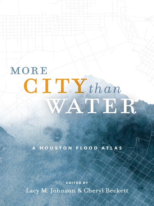 Title details for More City than Water by Lacy M. Johnson - Available